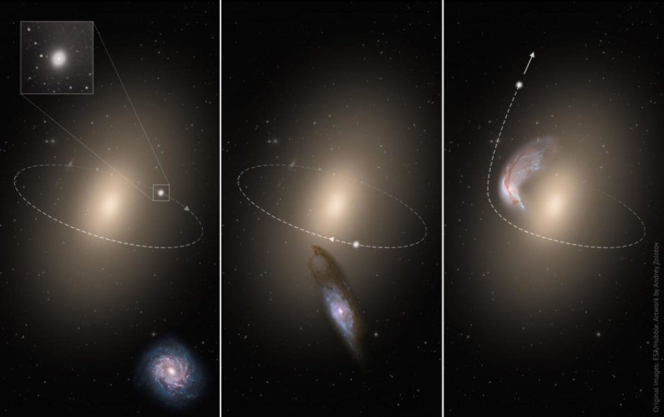 This schematic illustrates the creation of a runaway galaxy. In the first panel, an "intruder" spiral galaxy approaches a galaxy cluster center, where a compact elliptical galaxy (cE) already revolves around a massive central elliptical galaxy. In the second panel, a close encounter occurs and the compact elliptical receives a gravitational kick from the intruder. In the third panel, the compact elliptical escapes the galaxy cluster while the intruder is devoured by the giant elliptical galaxy in the cluster center.

Credit: ESA/Hubble. Artwork by Andrey Zolotov