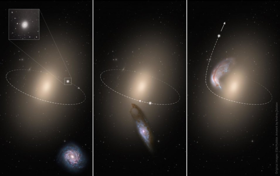 This schematic illustrates the creation of a runaway galaxy. In the first panel, an "intruder" spiral galaxy approaches a galaxy cluster center, where a compact elliptical galaxy (cE) already revolves around a massive central elliptical galaxy. In the second panel, a close encounter occurs and the compact elliptical receives a gravitational kick from the intruder. In the third panel, the compact elliptical escapes the galaxy cluster while the intruder is devoured by the giant elliptical galaxy in the cluster center.

Credit: ESA/Hubble. Artwork by Andrey Zolotov